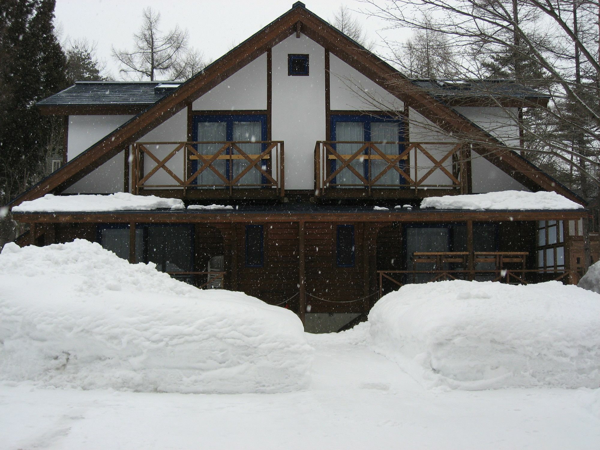 Hakuba Megeve Villa Eksteriør billede