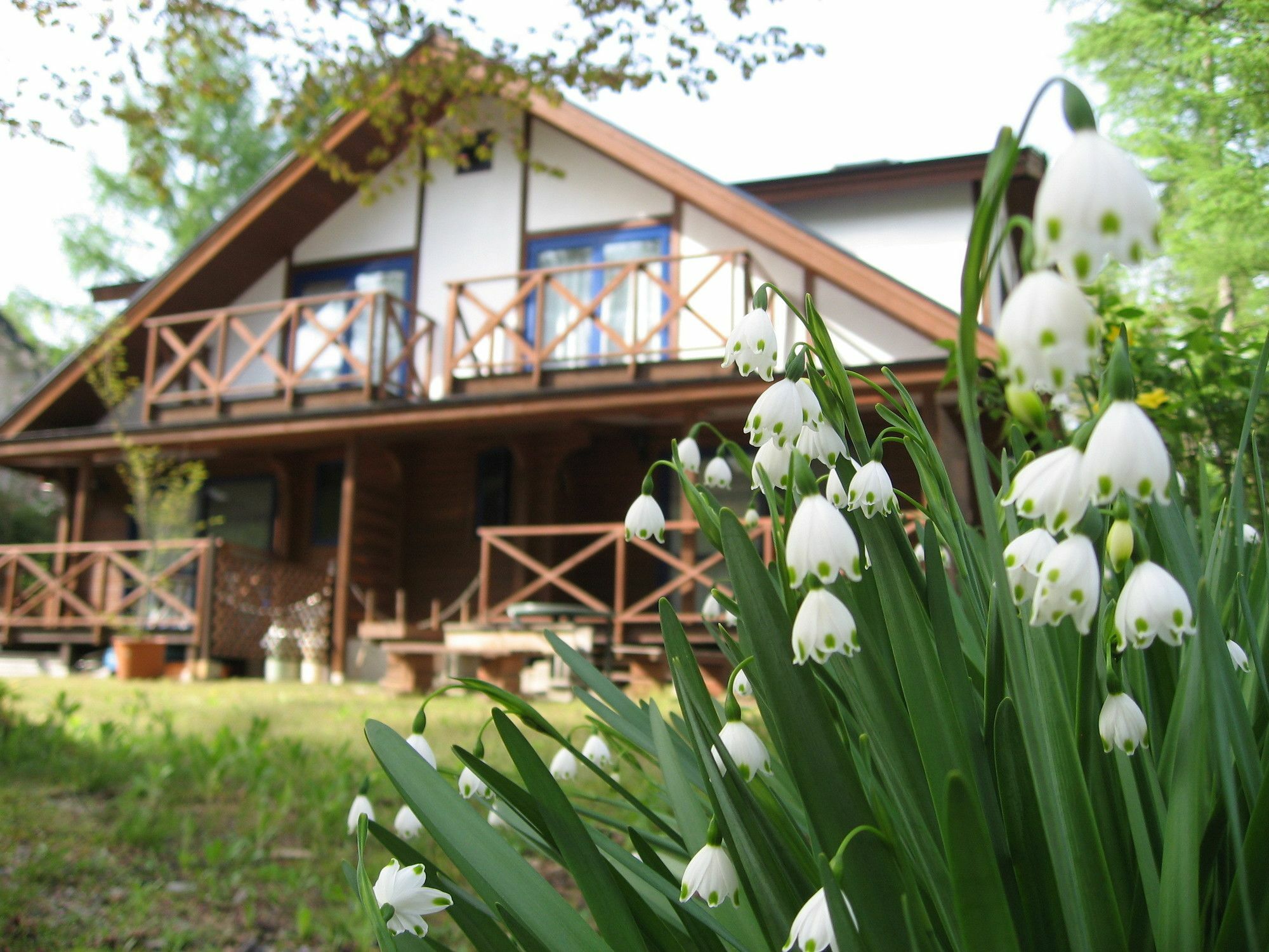 Hakuba Megeve Villa Eksteriør billede